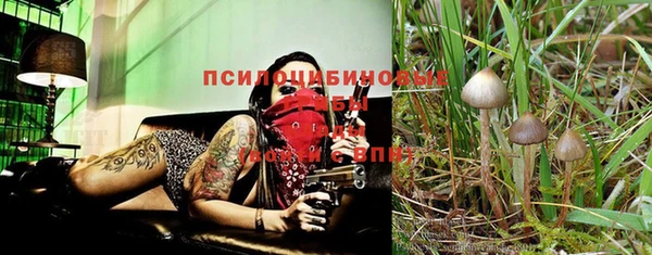 кокаин Новозыбков