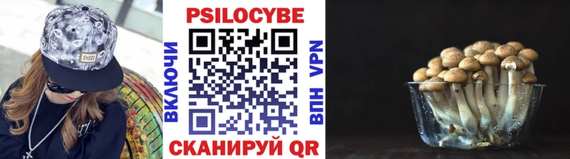 Галлюциногенные грибы Magic Shrooms  Полтавская 